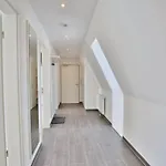 Meine See, Ms9 더넨